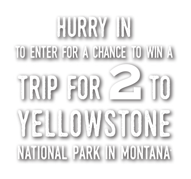 Trip for 2 to yellowstone national park in Montana