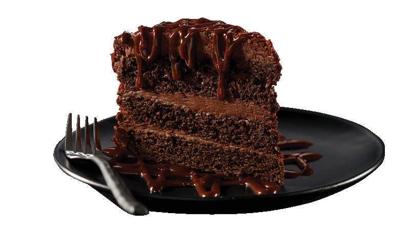 Triple Layer Chocolate Cake  